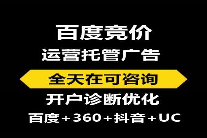 从小白到高手：百度竞价赚钱全记录